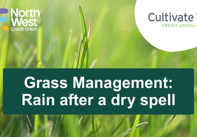 Managing Grass After Rain and Supporting Farm Cashflow with the Cultivate Loan from North West Credit Union